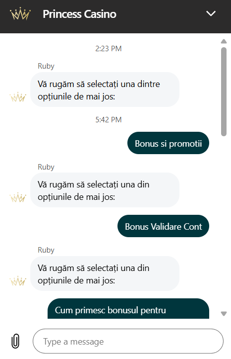 princess casino recenzie - live chat
